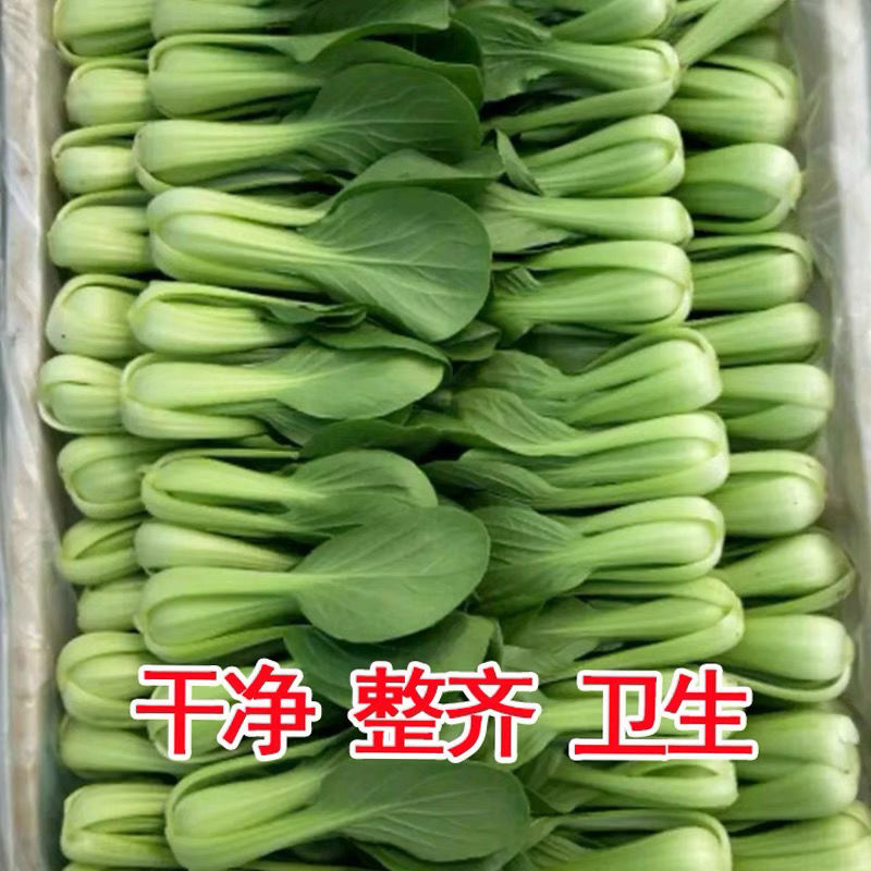 mmexport1655034704586.jpg